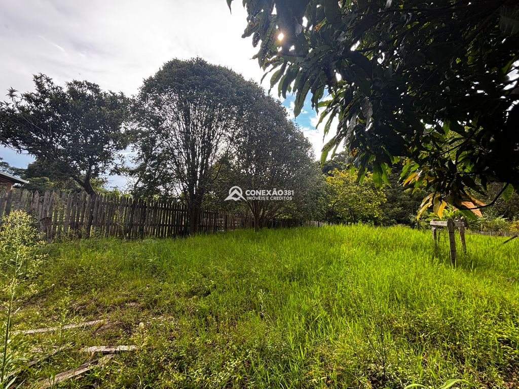 Excelente Propriedade com Riacho, Nascente e Área Verde Abundante — foto 49