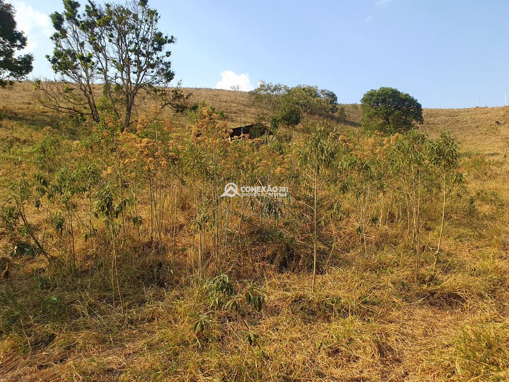 Terreno a venda em Cambuí /MG — foto 5