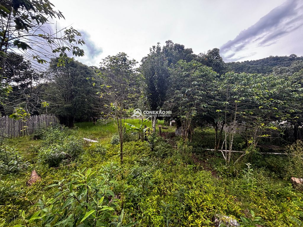 Excelente Propriedade com Riacho, Nascente e Área Verde Abundante — foto 17