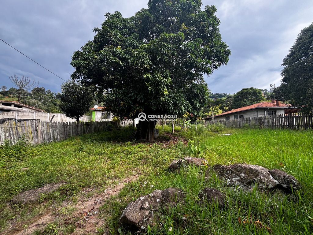 Excelente Propriedade com Riacho, Nascente e Área Verde Abundante — foto 48