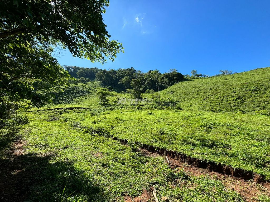 Sítio á venda em Estiva, Mg — foto 16