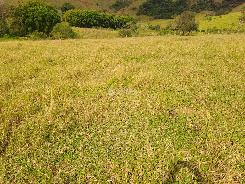 Terreno Rural á venda em Cambuí/MG — foto 7