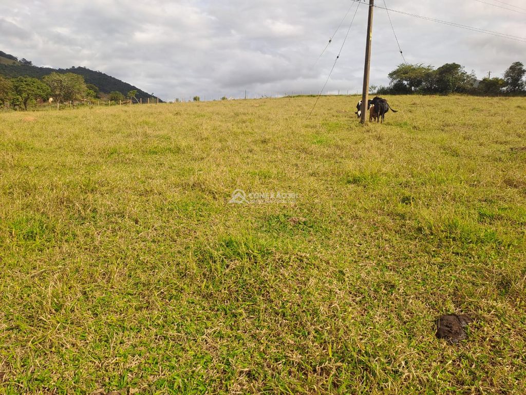 Terreno Rural á venda em Cambuí/MG — foto 10