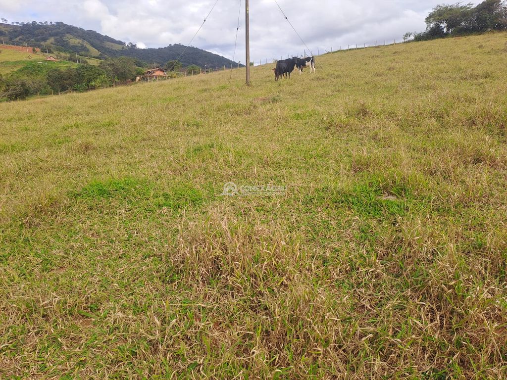 Terreno Rural á venda em Cambuí/MG — foto 11