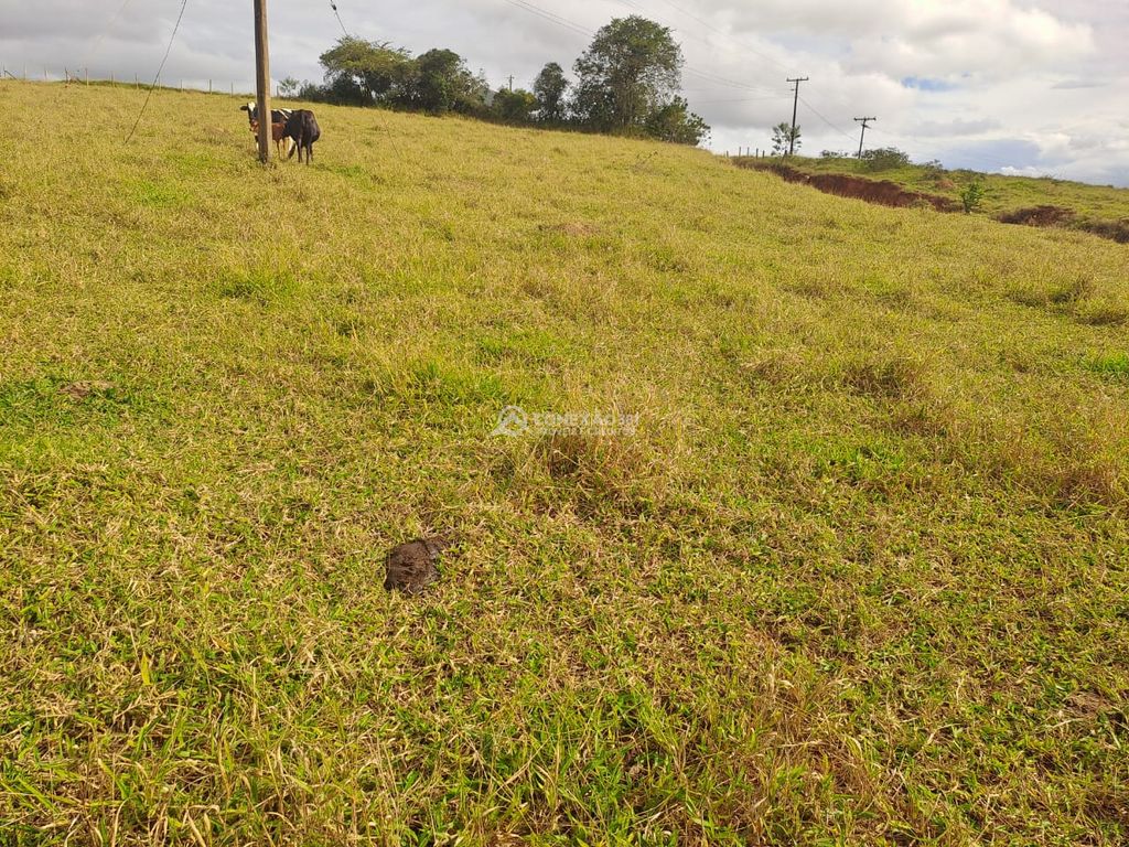 Terreno Rural á venda em Cambuí/MG — foto 12
