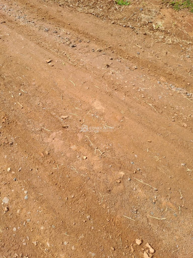 Terreno Rural á venda em Cambuí/MG — foto 16
