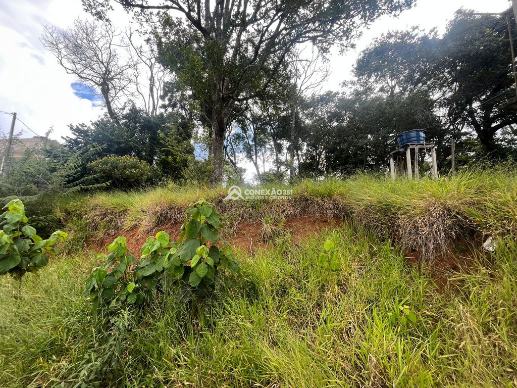 Terreno Rural à venda em Cambuí, MG — foto 5