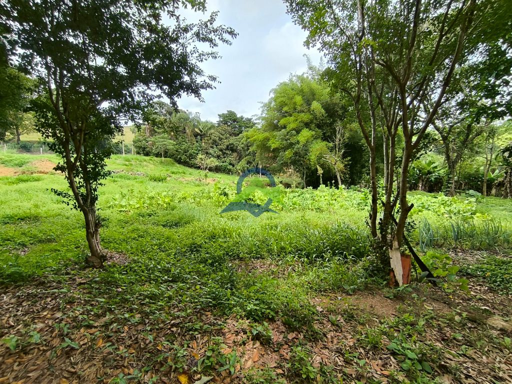 Terreno Rural à venda em Toledo, MG — foto 12