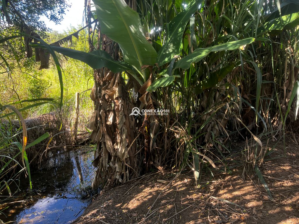 Chácara à venda no Córrego do Bom Jesus, MG — foto 31