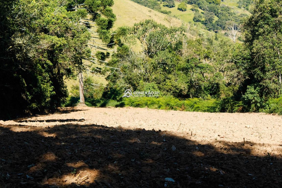 Terrenos à Venda em Cambuí/MG — foto 9