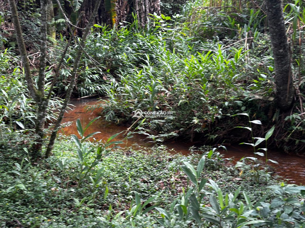 Excelente Propriedade com Riacho, Nascente e Área Verde Abundante — foto 41