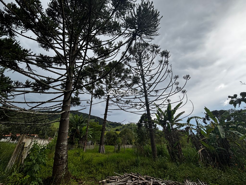 Excelente Propriedade com Riacho, Nascente e Área Verde Abundante — foto 42