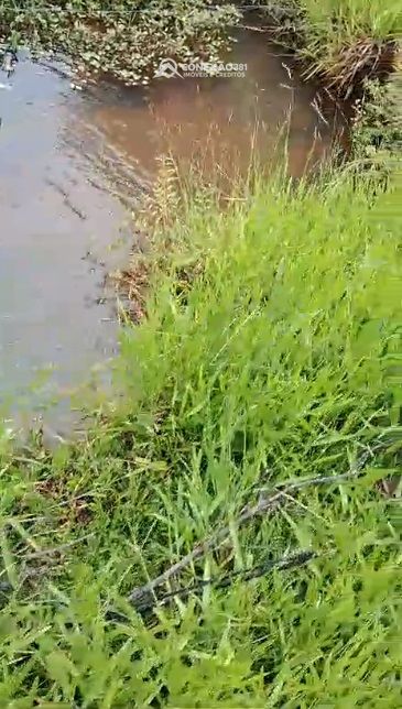 Terreno Rural em Córrego do Bom Jesus, MG — foto 12