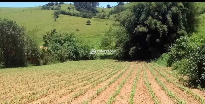 Terreno à venda em Cambuí, MG — foto 5