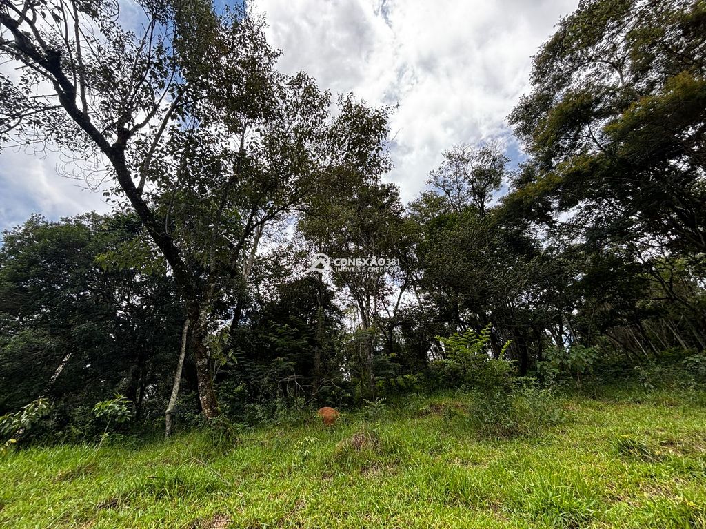 Terreno à venda em Cambuí/MG — foto 7