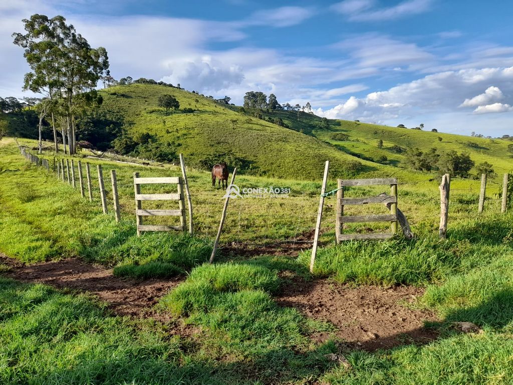 Terreno à Venda em Cambuí/MG – 18 Alqueires — foto 29