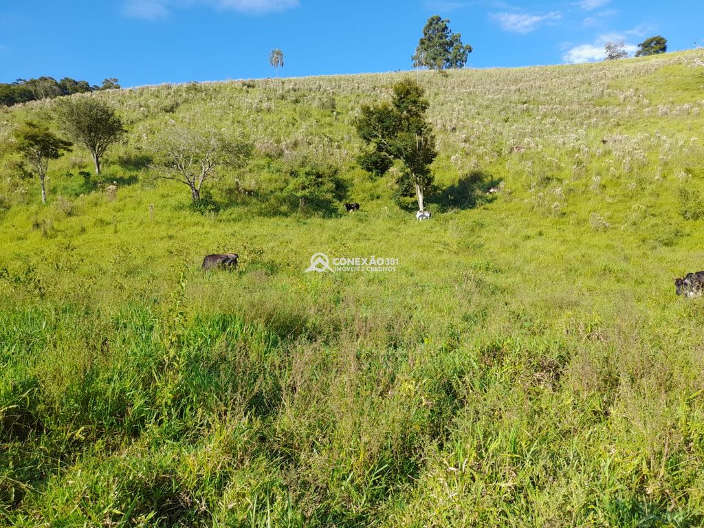 Terreno à Venda em Cambuí/MG – 18 Alqueires — foto 33