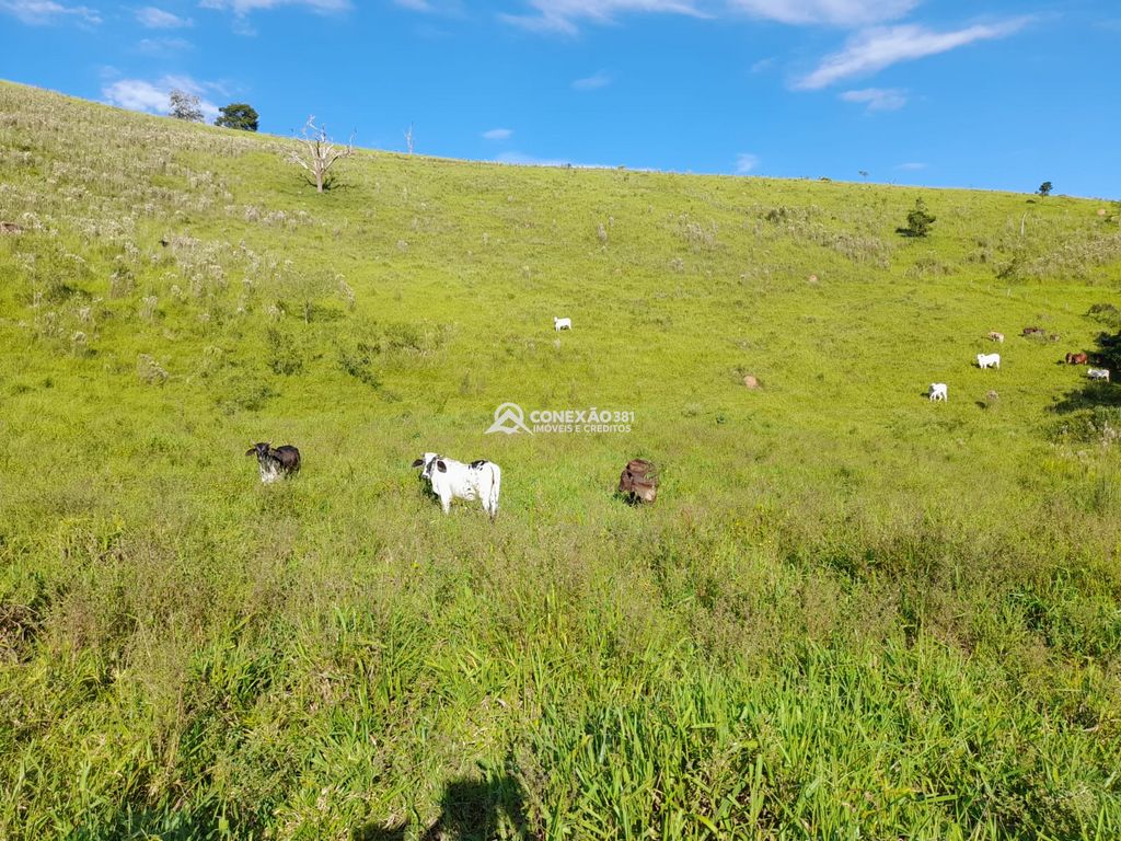 Terreno à Venda em Cambuí/MG – 18 Alqueires — foto 20