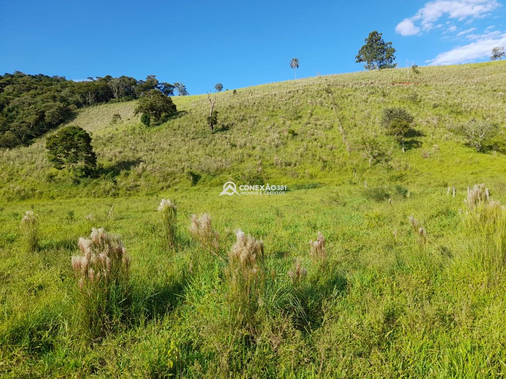Terreno à Venda em Cambuí/MG – 18 Alqueires — foto 35