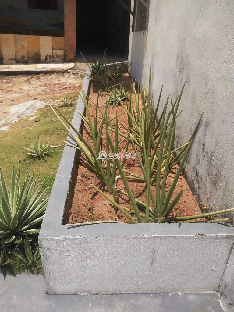 Oportunidade Única de Investimento no Litoral Potiguar! — foto 29