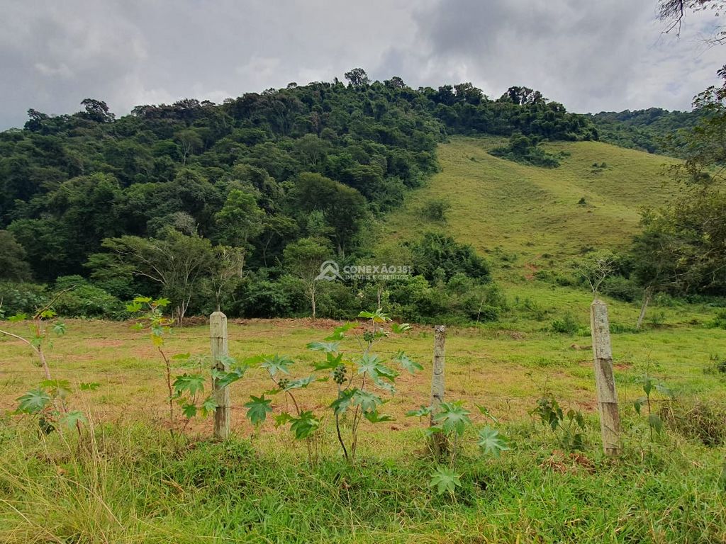 Sítio à venda em Consolação, MG — foto 10