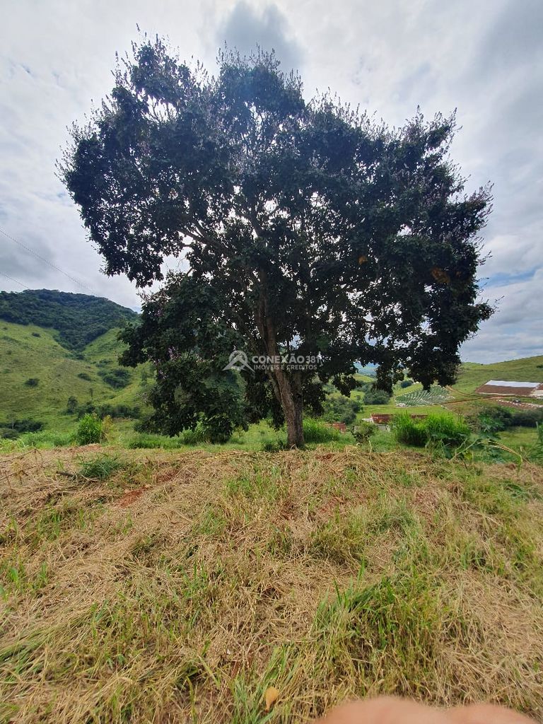 Sítio à venda em Consolação, MG — foto 25