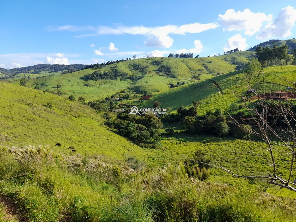 Terreno à Venda em Cambuí/MG – 18 Alqueires — foto 5