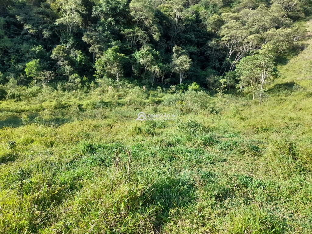 Terreno à Venda em Cambuí/MG – 18 Alqueires — foto 43