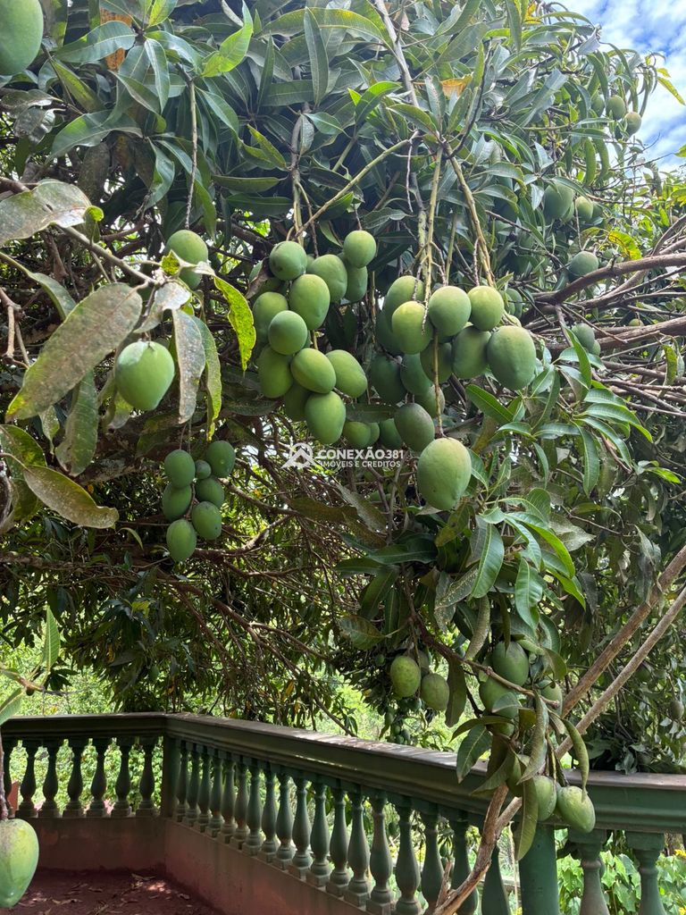 Chácara no Córrego do Bom Jesus, MG — foto 12
