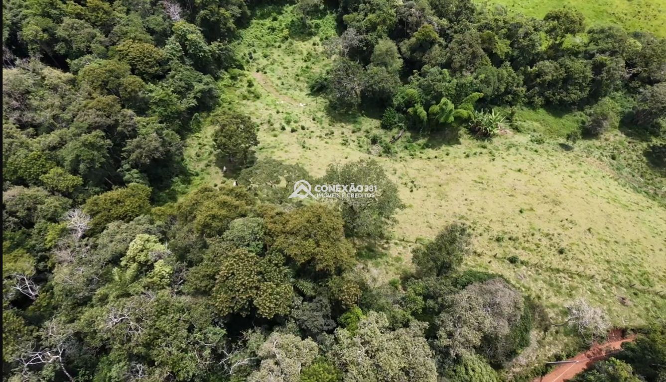 Terreno à venda em Cambuí/MG — foto 14