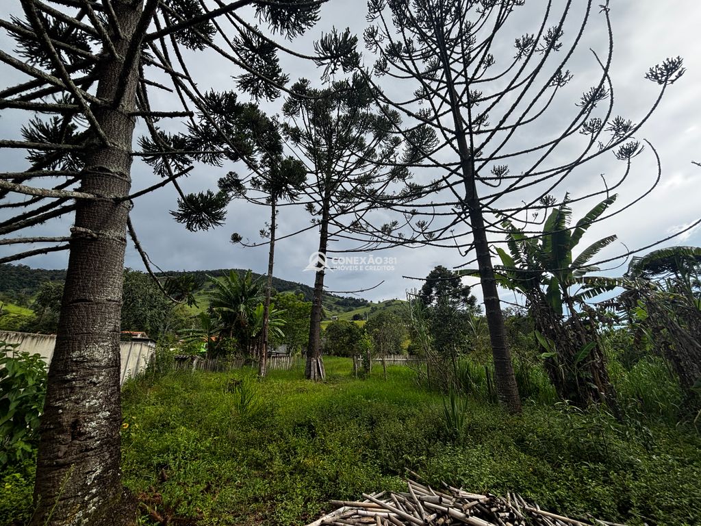 Excelente Propriedade com Riacho, Nascente e Área Verde Abundante — foto 43