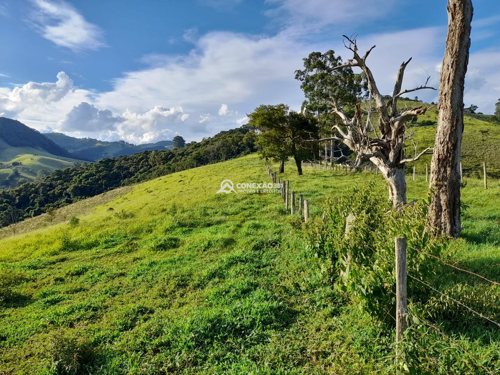 Terreno à Venda em Cambuí/MG – 18 Alqueires — foto 30