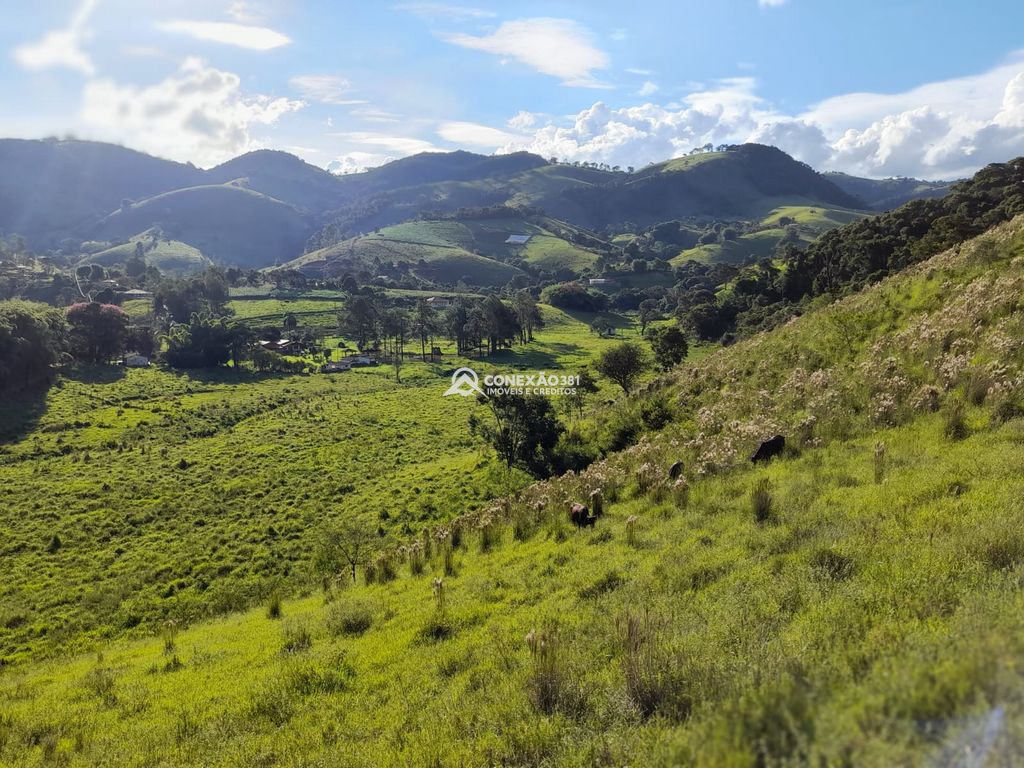 Terreno à Venda em Cambuí/MG – 18 Alqueires — foto 13
