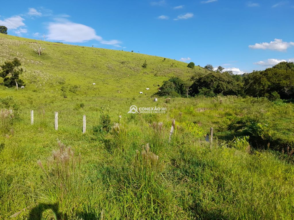Terreno à Venda em Cambuí/MG – 18 Alqueires — foto 22