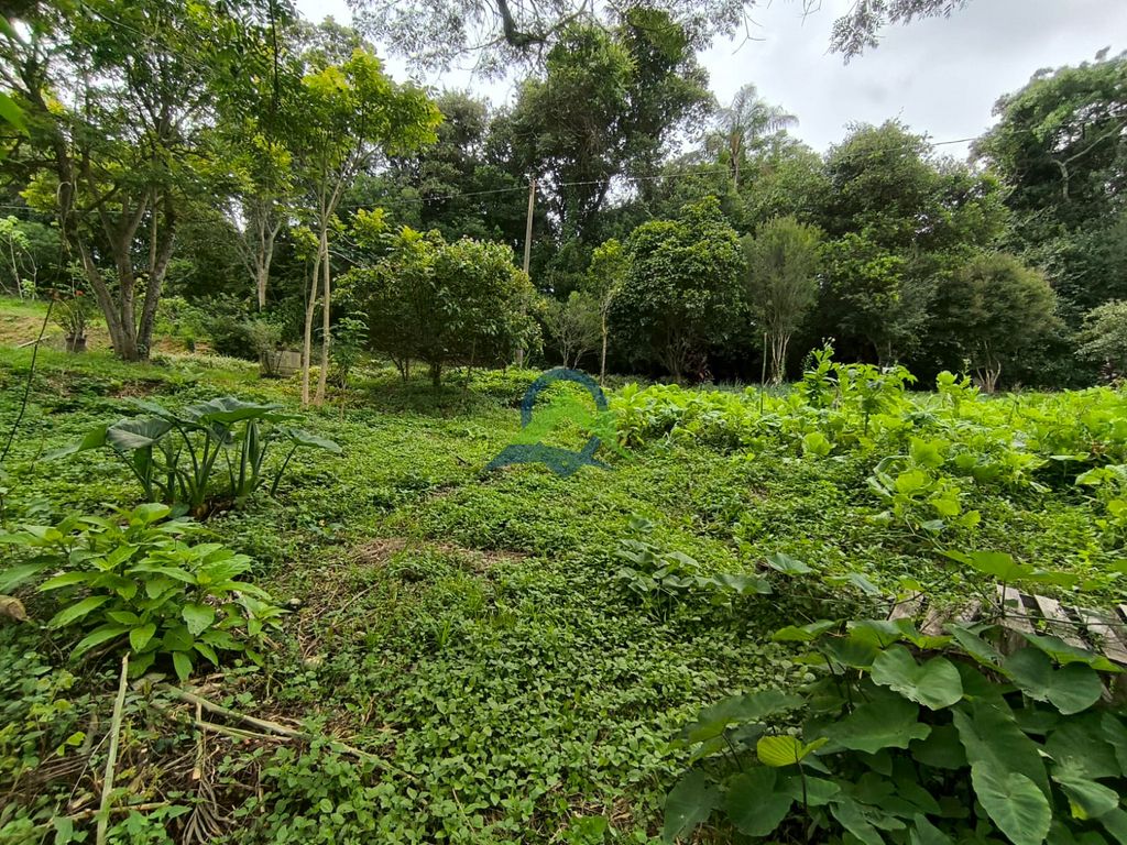 Terreno Rural à venda em Toledo, MG — foto 8