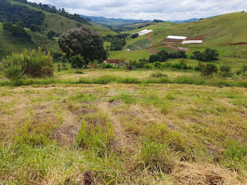 Sítio à venda em Consolação, MG — foto 23