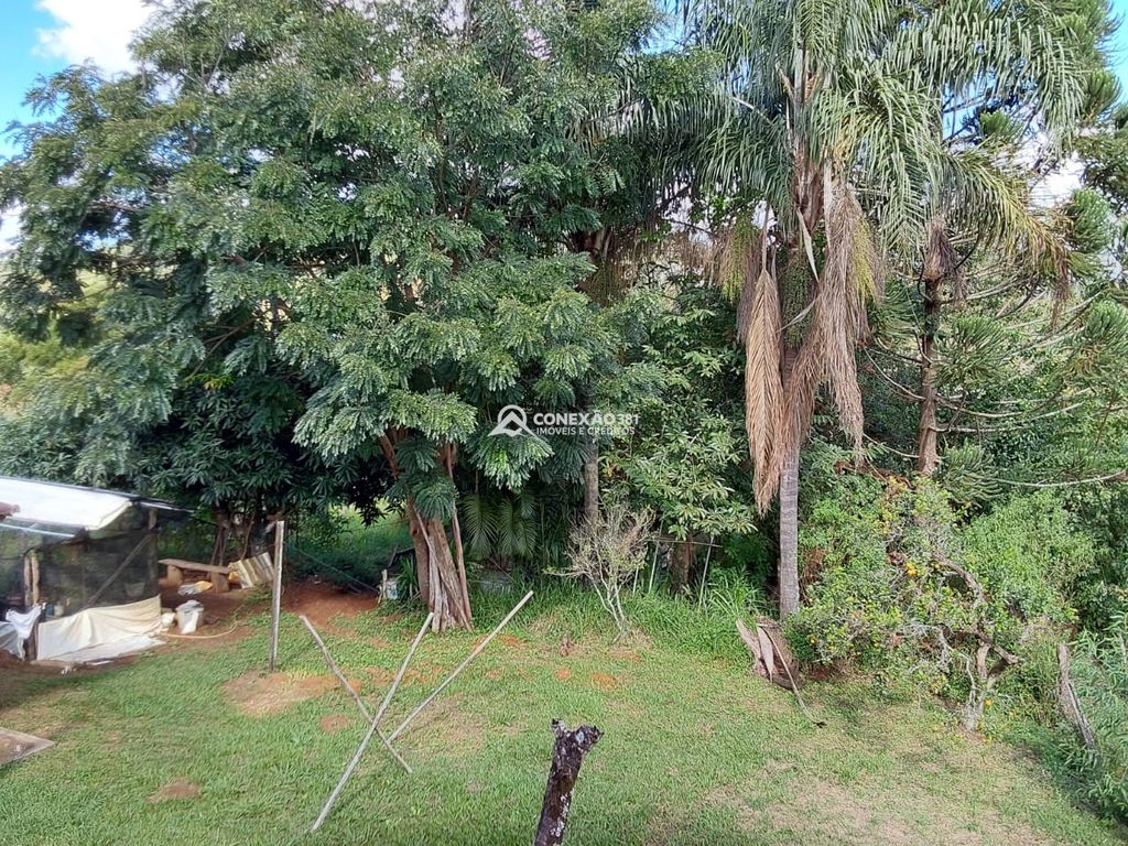 Chácara à Venda em Cambuí/MG — foto 12