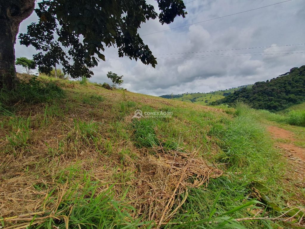 Sítio à venda em Consolação, MG — foto 33