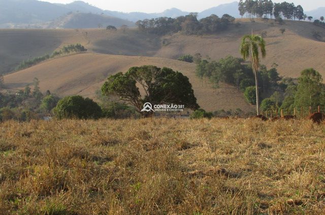 Terreno Rural à Venda – Congonhal Cambuí - MG — foto 7
