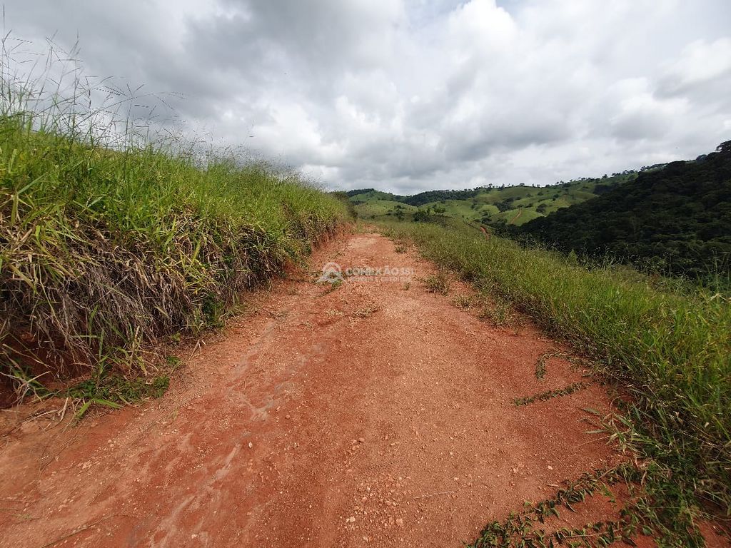 Sítio à venda em Consolação, MG — foto 32
