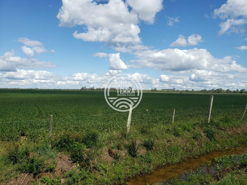 Área à Venda com 396ha - foto 2