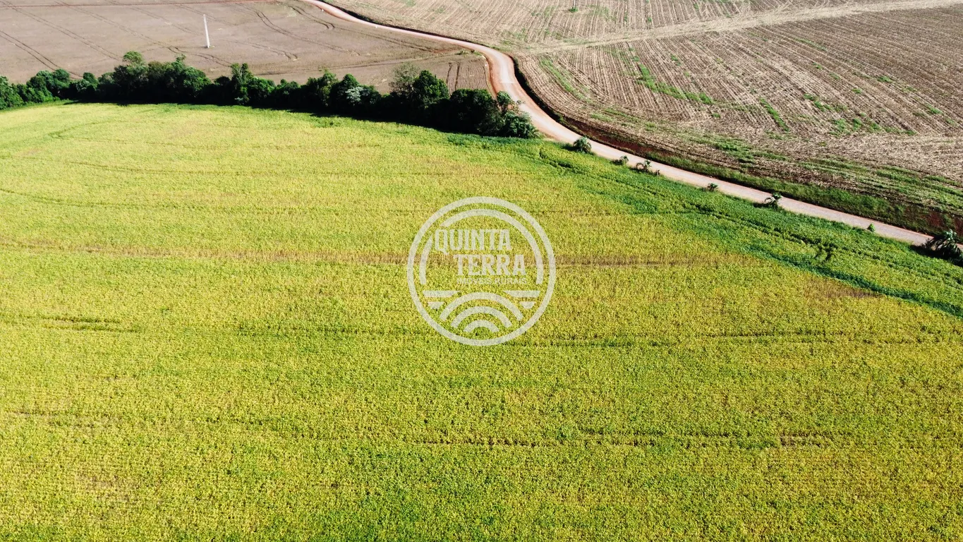 Área à Venda com 27ha - foto 3