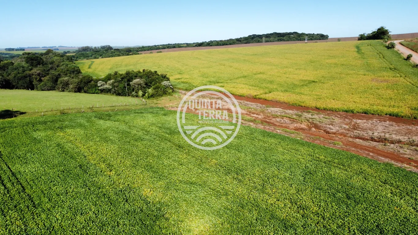 Área à Venda com 27ha - foto 6