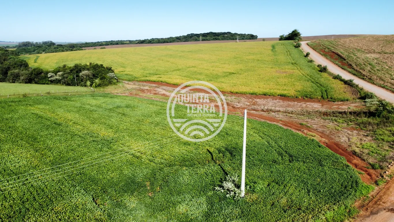 Área à Venda com 27ha - foto 7