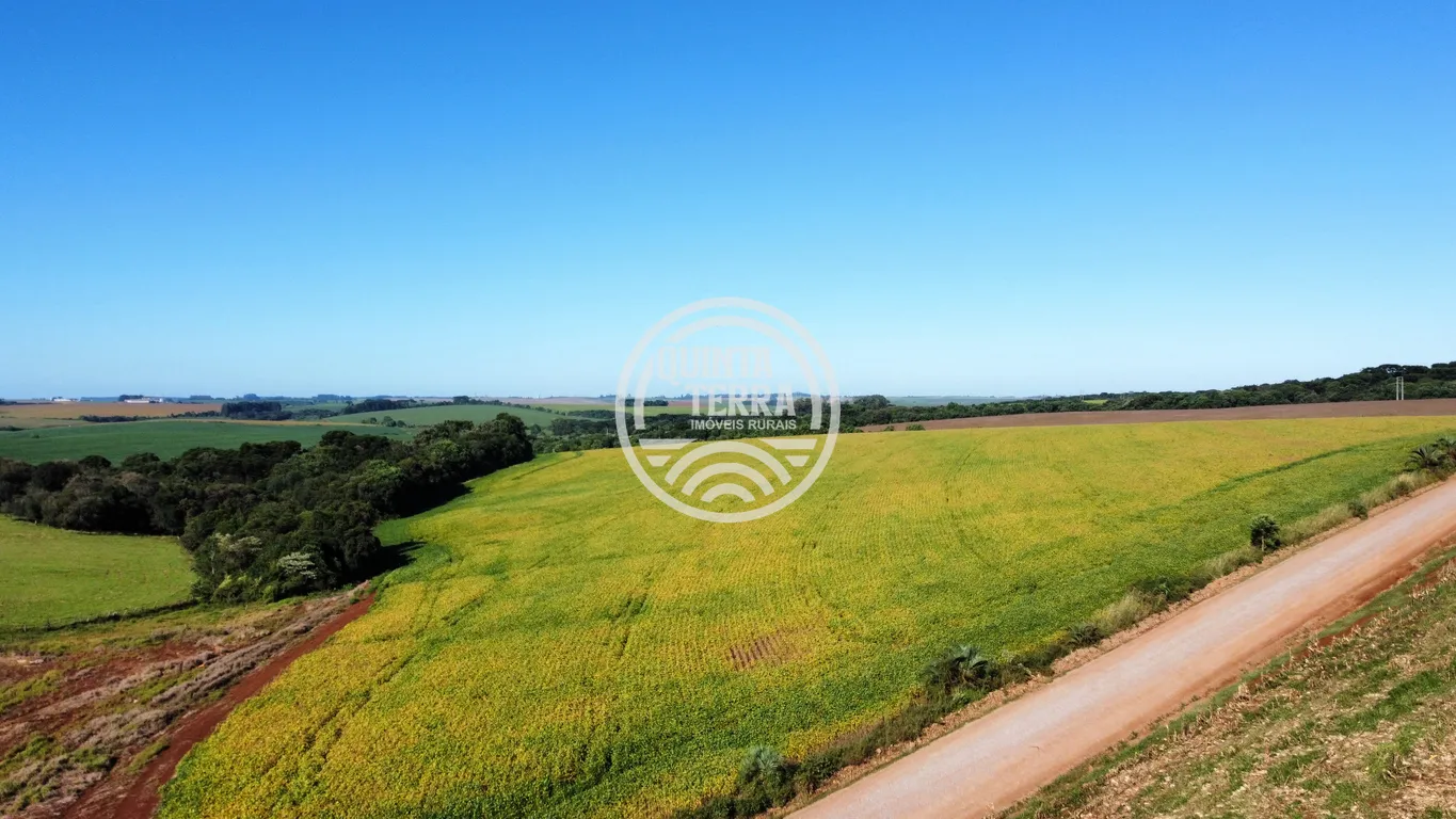 Área à Venda com 27ha - foto 8