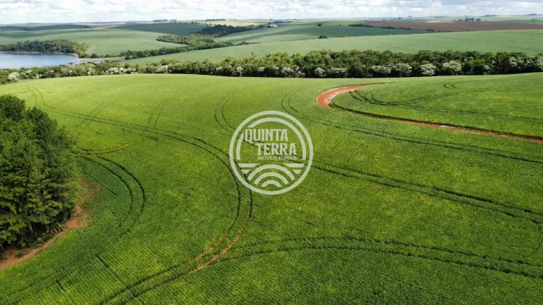 Área à Venda com 89ha - foto 7