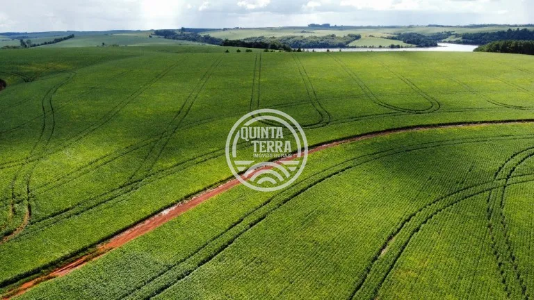 Área à Venda com 89ha - foto 4