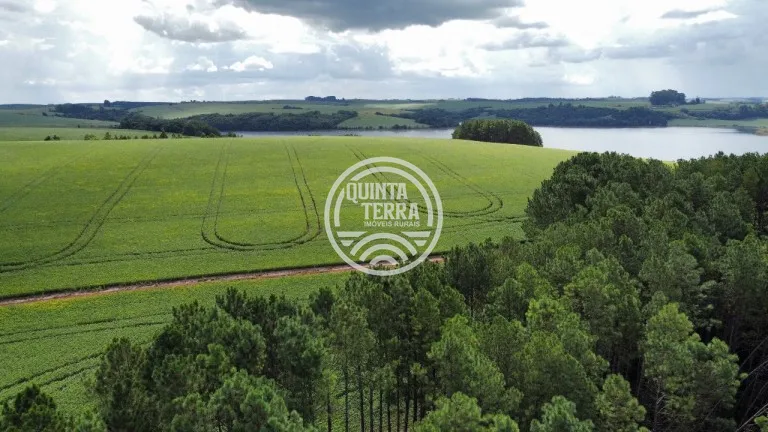 Área à Venda com 89ha - foto 5