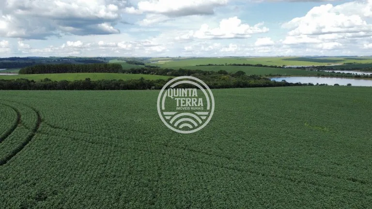 Área à Venda com 89ha - foto 9