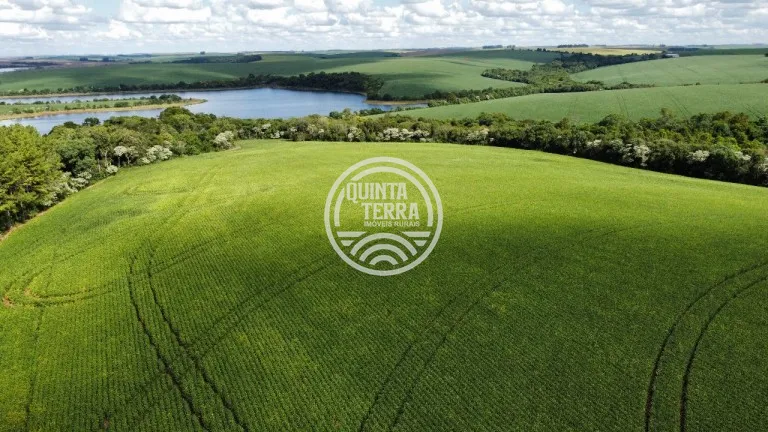Área à Venda com 89ha - foto 1
